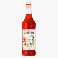 MONIN Orange Spritz Sirup 1L