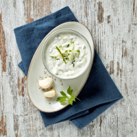 Tzatziki "Wernsing" 2Kg/Eimer