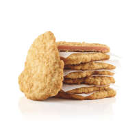 Knusper Schnitzel roh "Salomon Food" TK, Schweinefleisch, 40x180g/Krt.