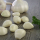 Knoblauchsegmente "Melzer" TK, 10x1kg/Krt, Btl.